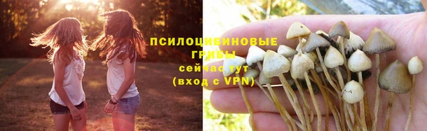 мет Алзамай