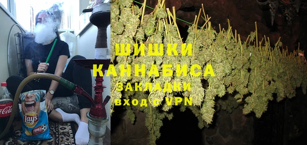 индика Алексин