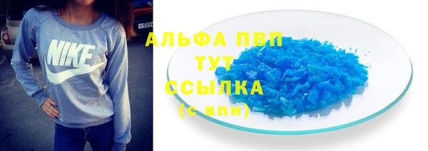 индика Алексин