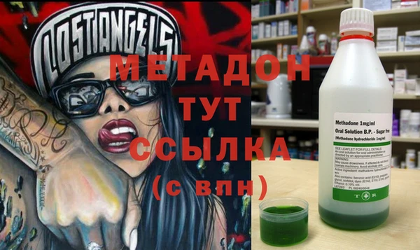 индика Алексин