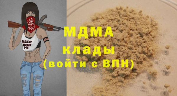 индика Алексин