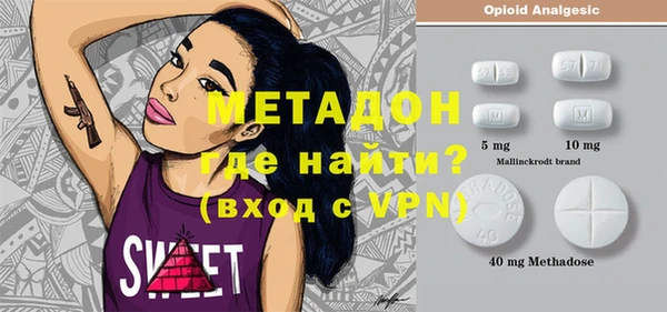 индика Алексин