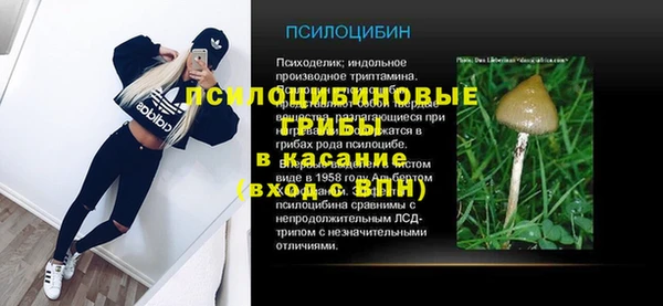 индика Алексин
