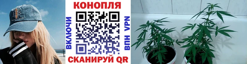 нарко площадка какой сайт  Белгород  Марихуана LSD WEED  мега ТОР 